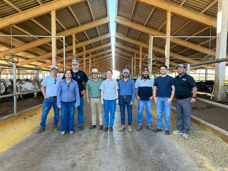 Noticia fazenda-floresta--o-mundo